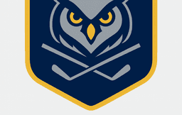 Night Owls Golf Club